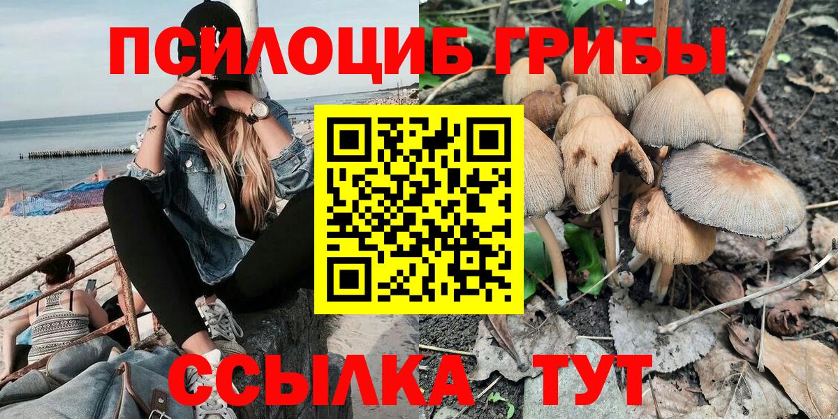 Псилоцибиновые грибы Cubensis  Вход с VPN  Псилоцибиновые грибы GOLDEN TEACHER  Щёлково 